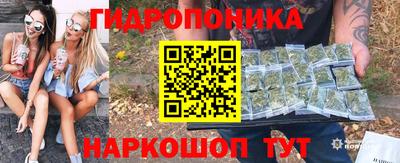 кокс Гай