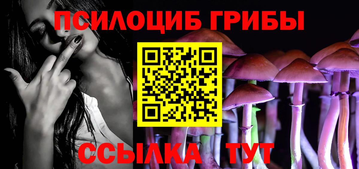 Псилоцибиновые грибы прущие грибы  где найти наркотики  Галлюциногенные грибы Magic Shrooms  Ивантеевка  Вход с VPN 